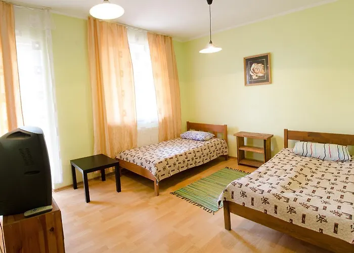 Dzvinka Hotel *