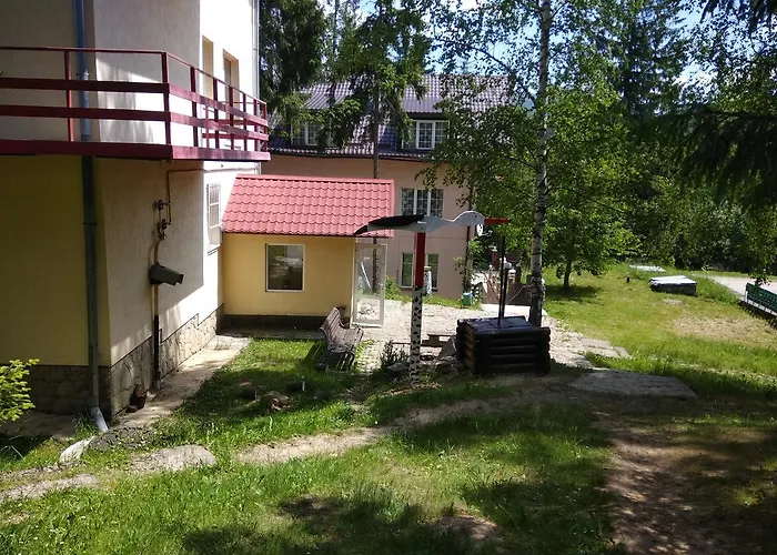Hotel Dzvinka *
