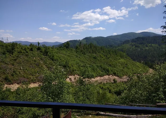 Dzvinka Hotel