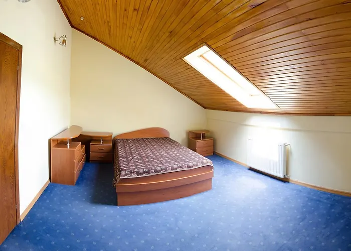 Hotel Dzvinka *